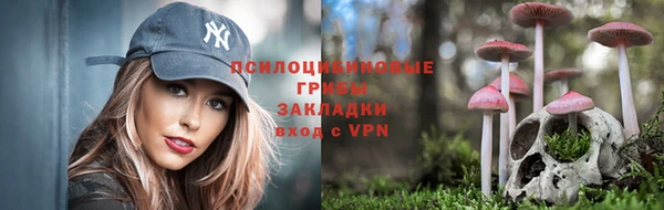 кокс Абаза