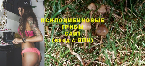 ПСИЛОЦИБИНОВЫЕ ГРИБЫ Пролетарск